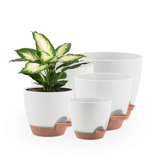 Self Watering Planters 5Pc Set