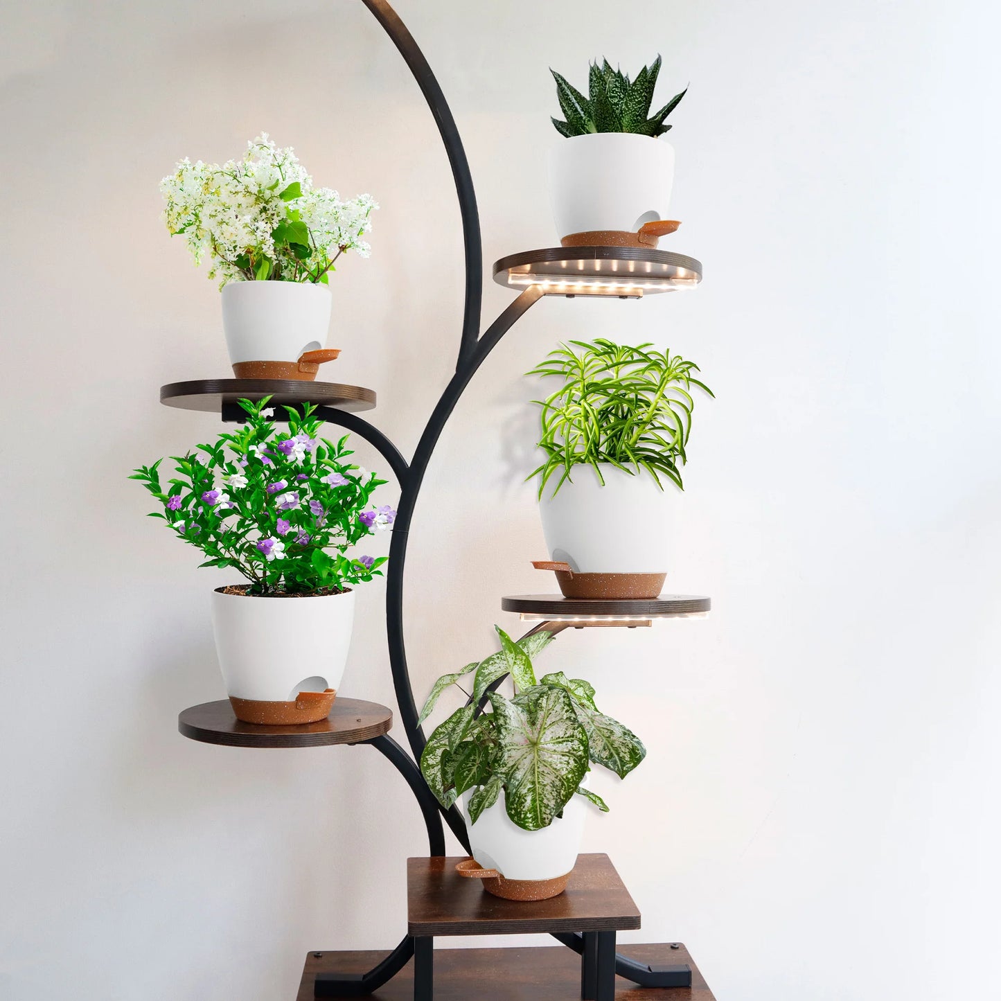 Self Watering Planters 5Pc Set