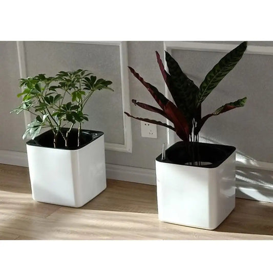 Self Watering Square Planter