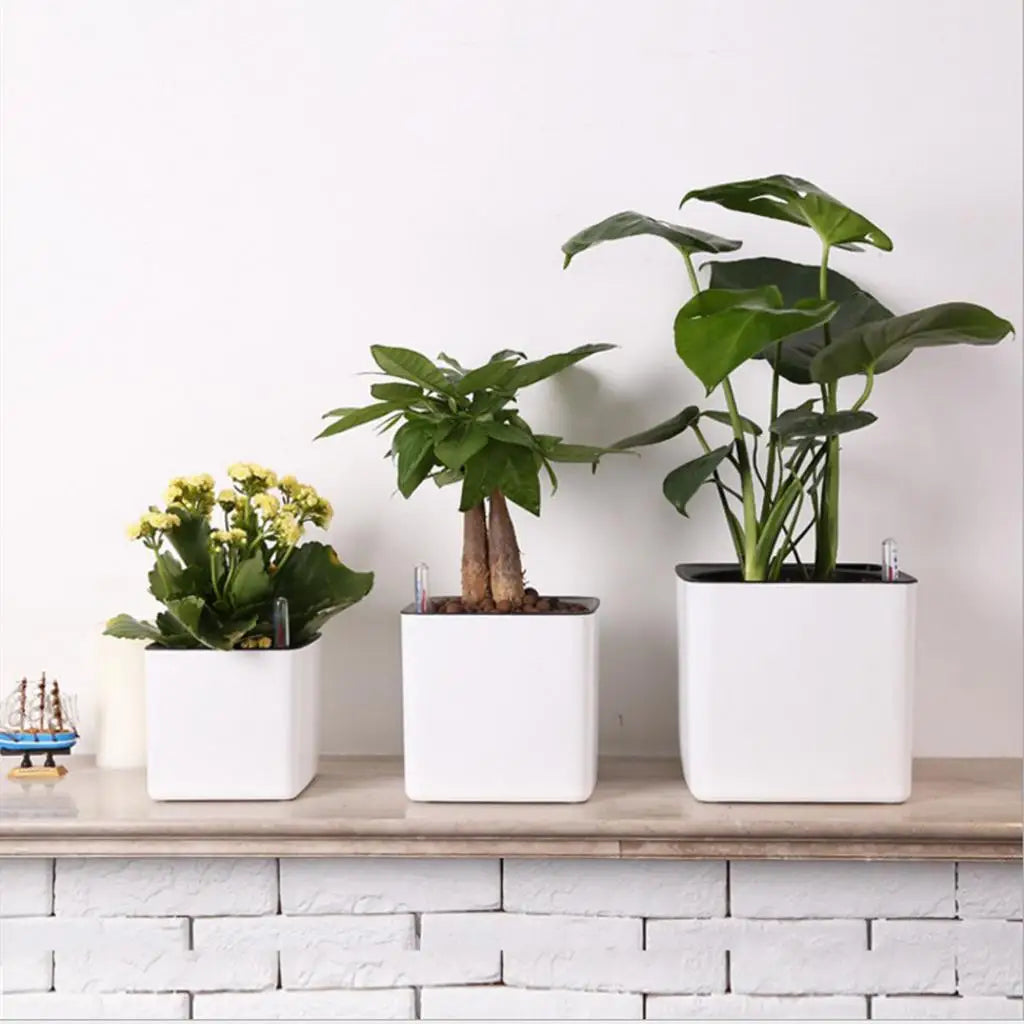 Self Watering Square Planter