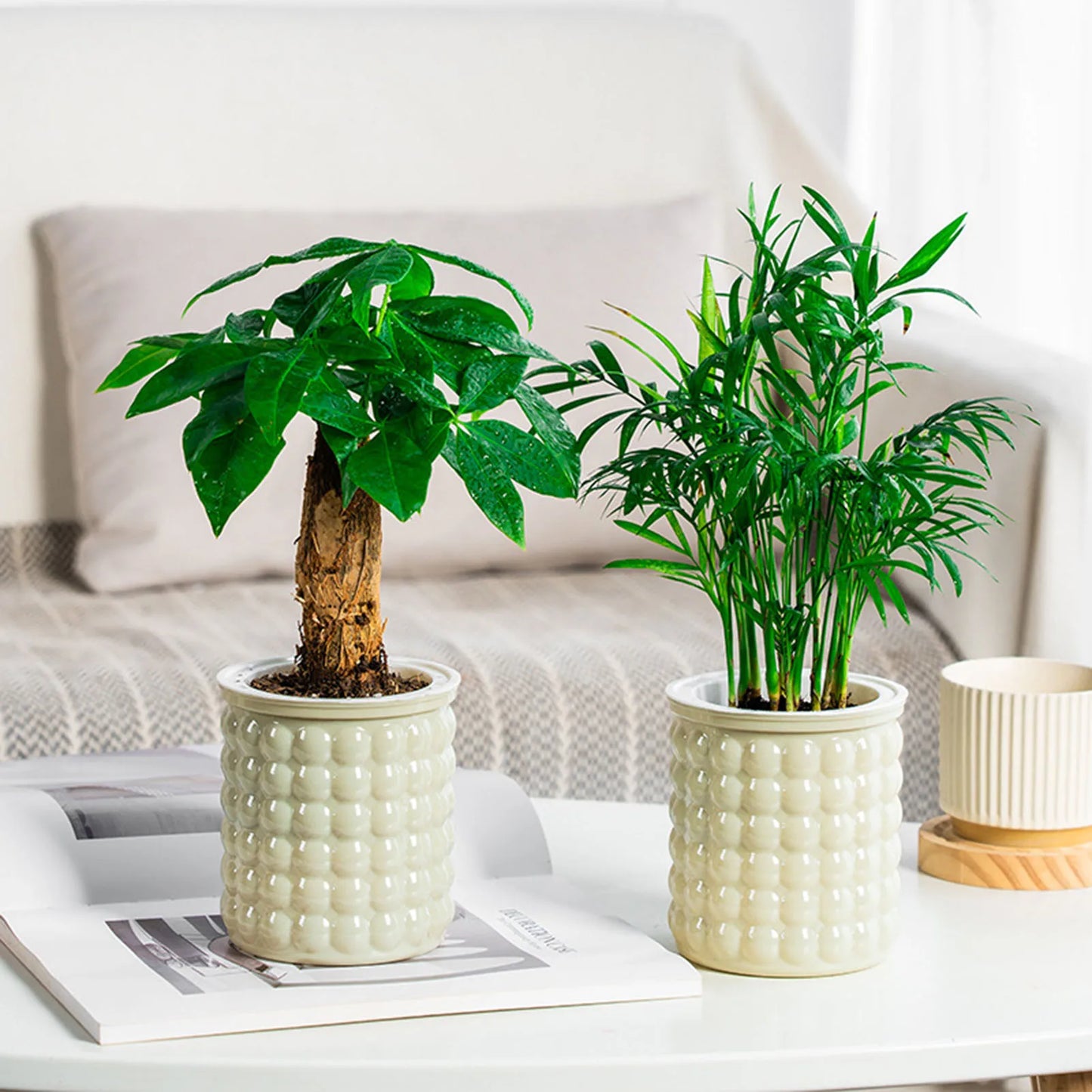 Mini Self Watering Plant Pot