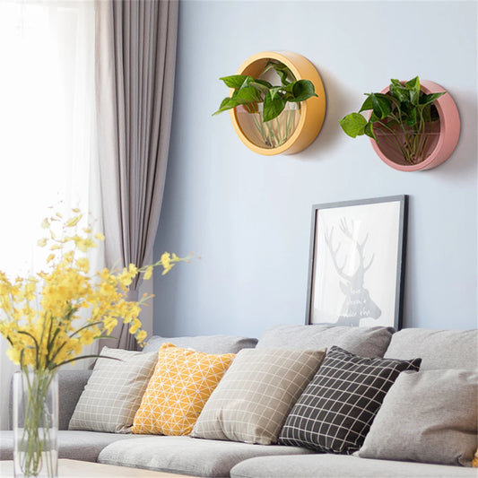 Wall Hanging Planters