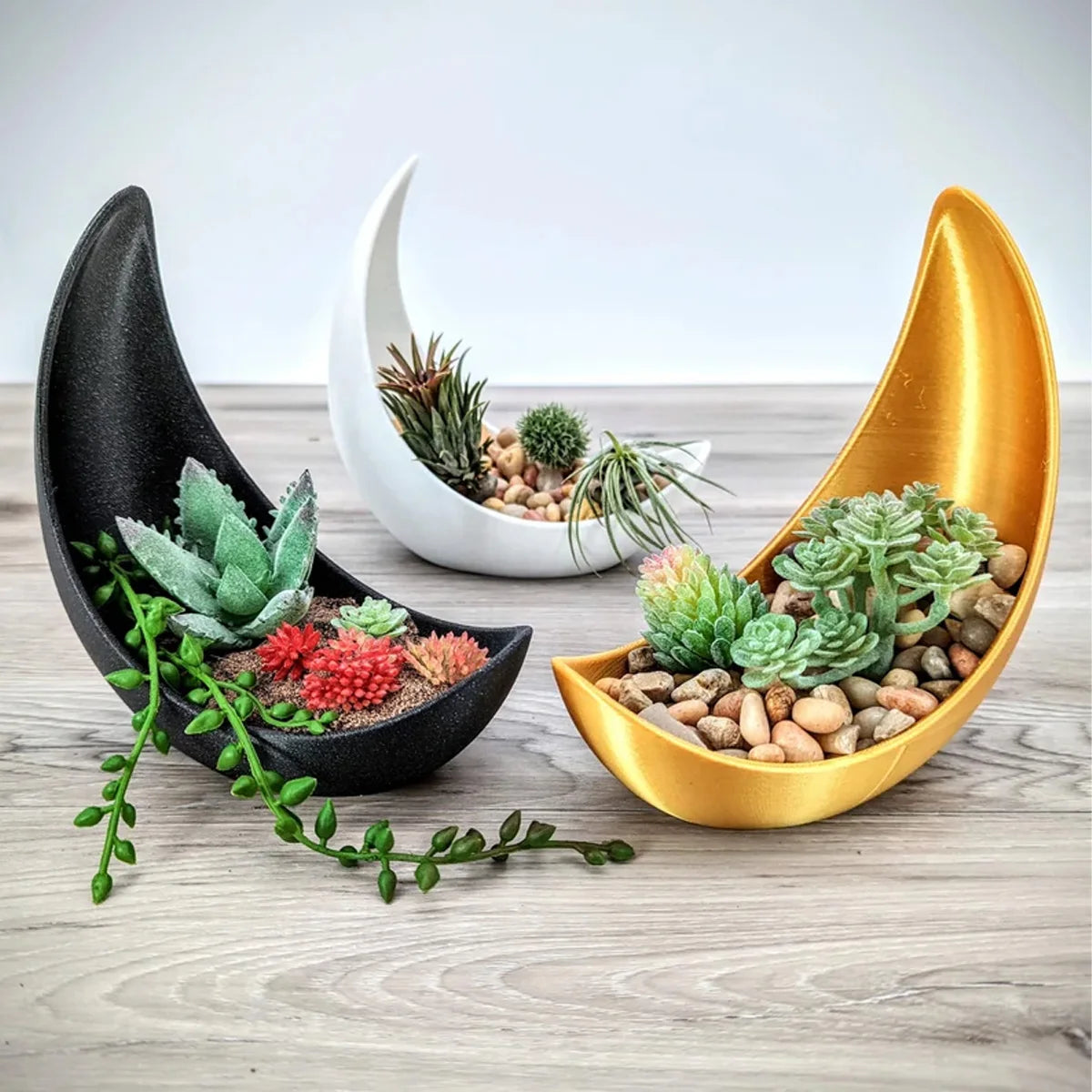 Crescent Flower Pot