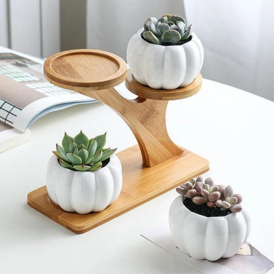 Plant Rack Stand